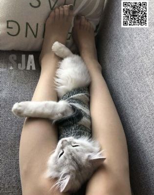 熟妇少妇任你躁在线无码护士_HD免费电视剧