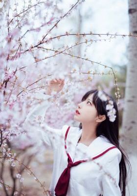 欧美三级成人理伦_720在线播放观看